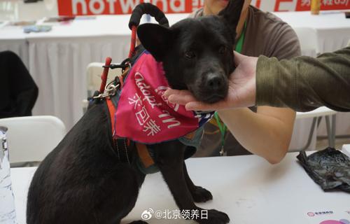 黄子韬决定不忍了涉足卫生巾领域